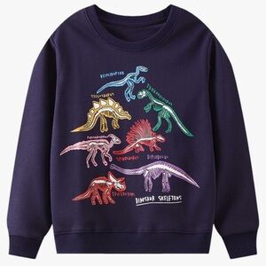 Kids, dinosaur crewneck